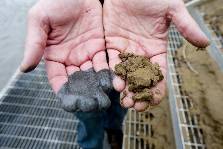 Fly Ash Hands