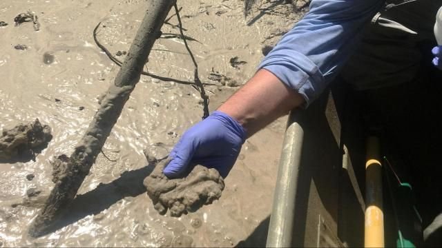 hand-coal-ash-640x360